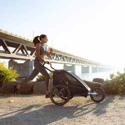 Przyczepka rowerowa dla dziecka, pojedyncza - Thule Chariot Sport 2 G3 - Natural Gold