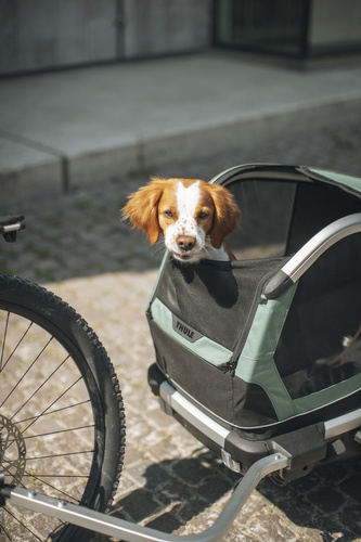 Przyczepka rowerowa dla psa - Thule Bexey M do 35 kg - Haze green